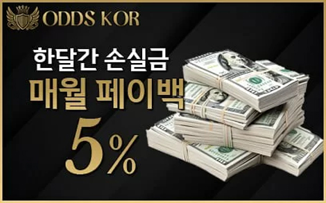 한달간 손실금 매월페이백 5%